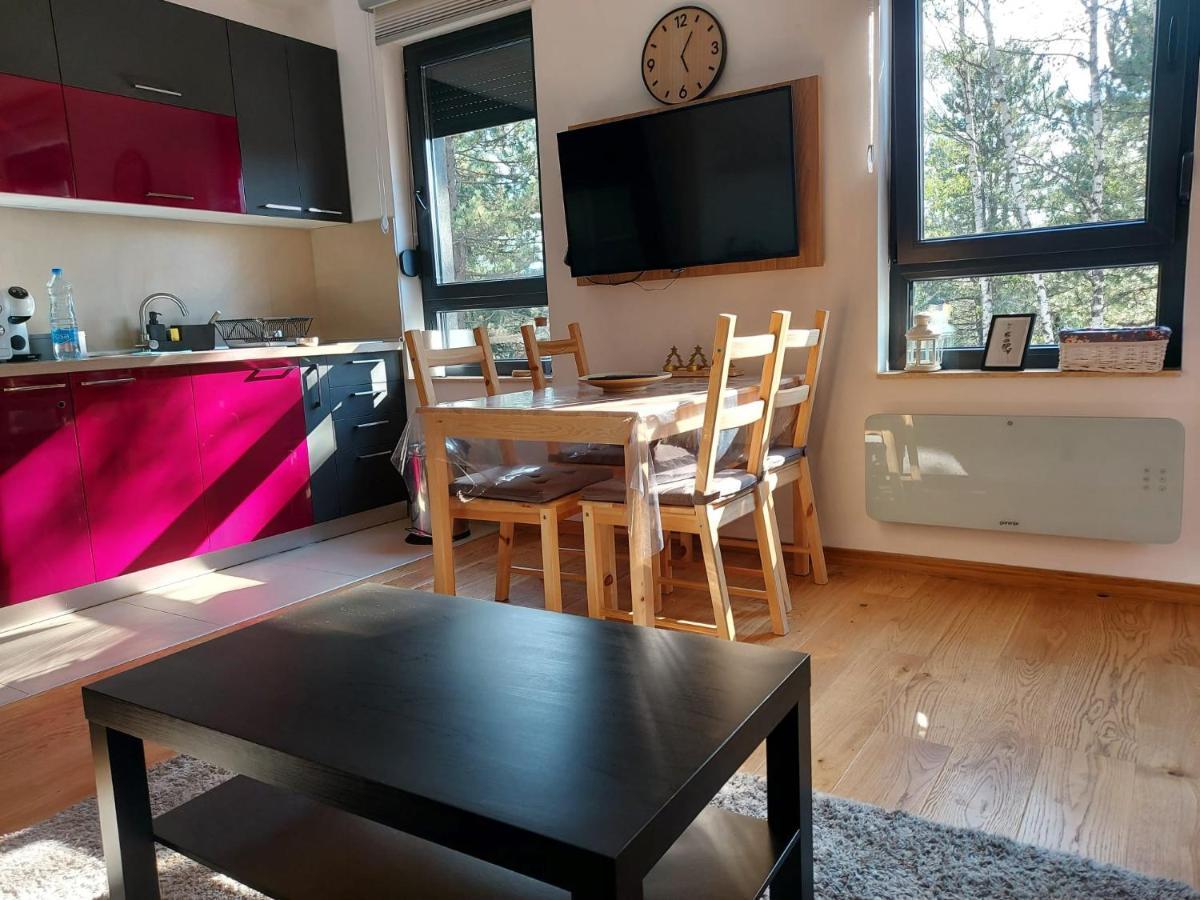 Zlatibor Apartman Asteri公寓 外观 照片